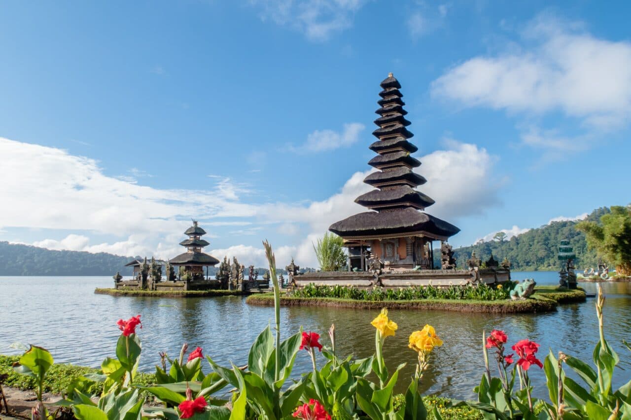 Travel Jabs for Bali from the UK