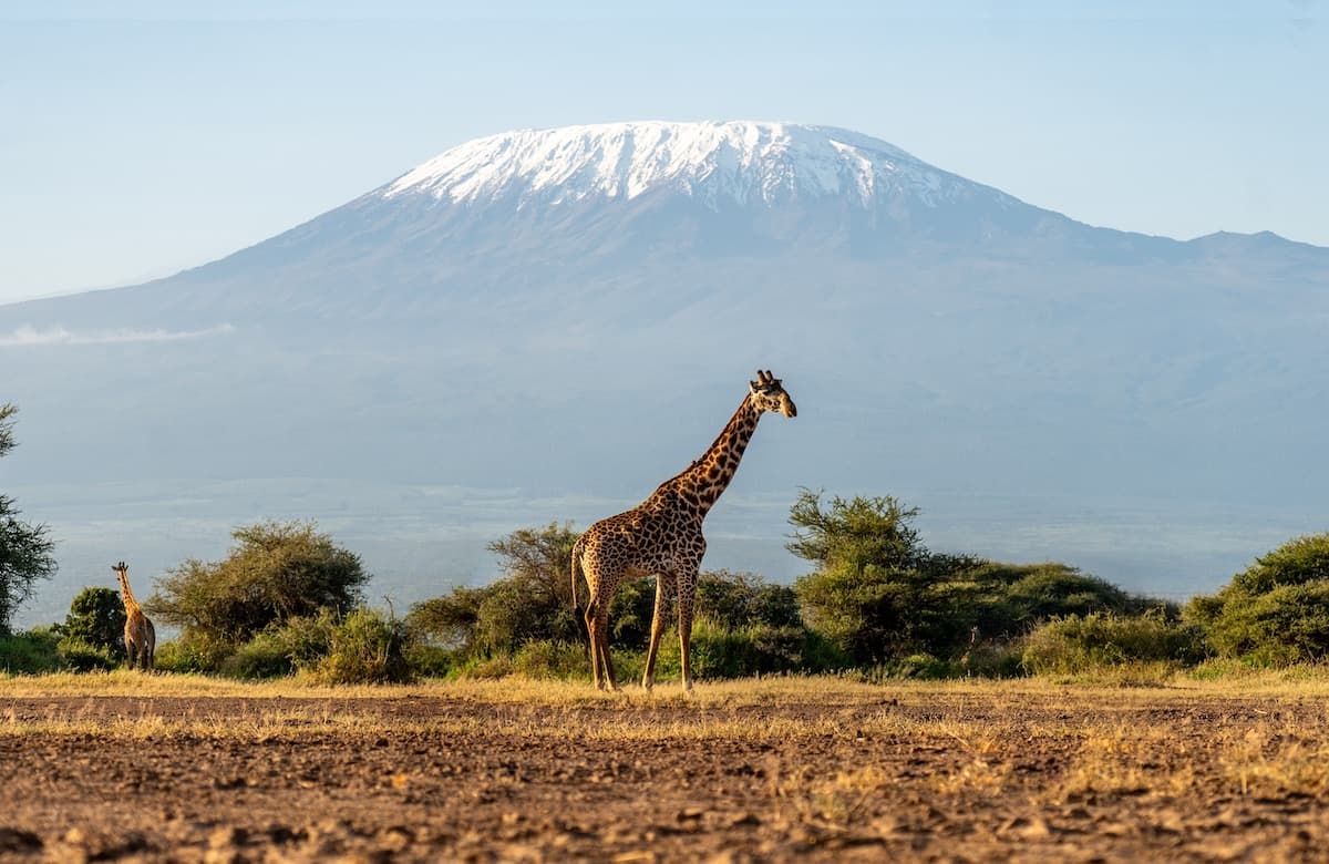 Get the Right Vaccinations Behind an Overseas Charity Challenge